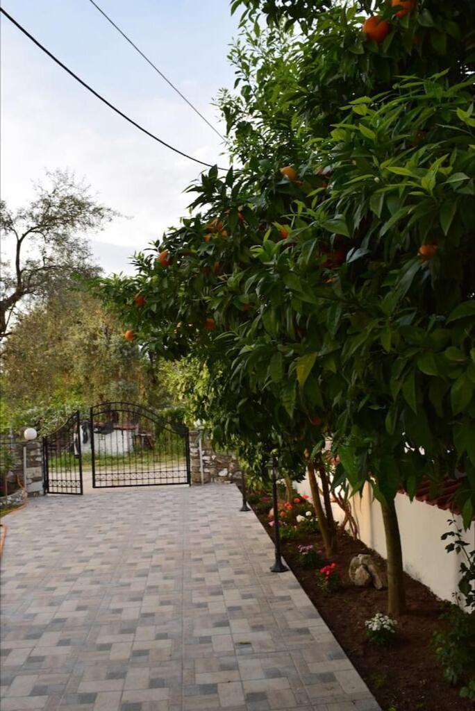 Apartamento Tsafas Αpartments Limenas  Exterior foto