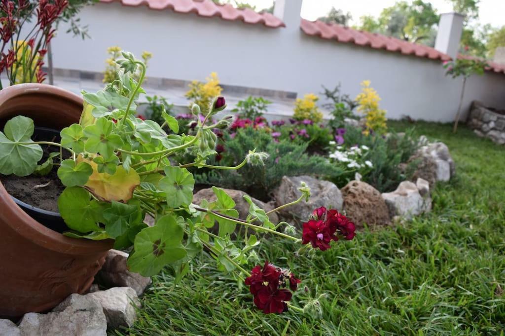 Apartamento Tsafas Αpartments Limenas  Exterior foto